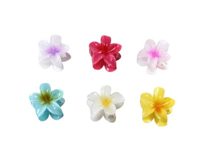 Cặp ngoạm hoa sứ 6cm kẹp vỉ nhựa treo (bịch: 12ks mix 6 màu)