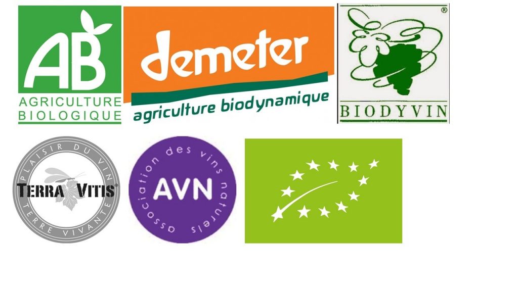 Bio, naturální a biodynamická vína – jaký je mezi nimi rozdíl?