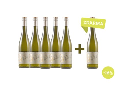 Pfalz - Weingut Schmitt Riesling Hochbenn 2023 0,75l AKCE 5+1 lahev zdarma