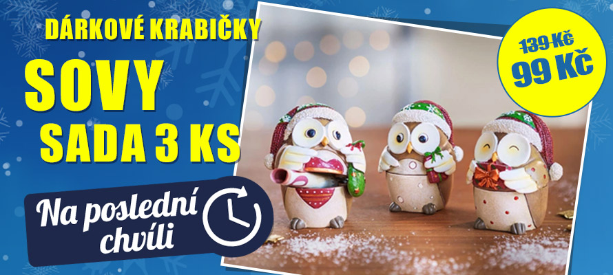 Dárkové krabičky Sovy, sada 3 ks