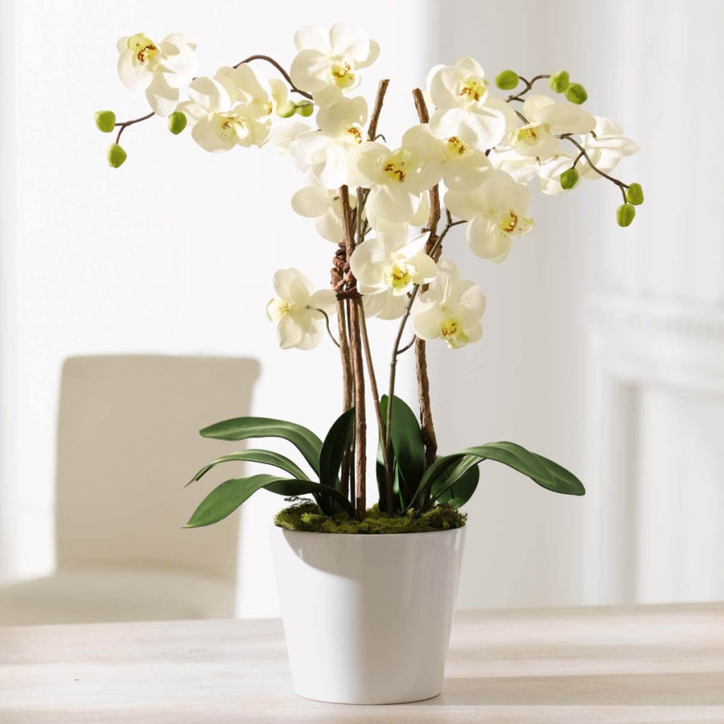 Umělá orchidej Elegance