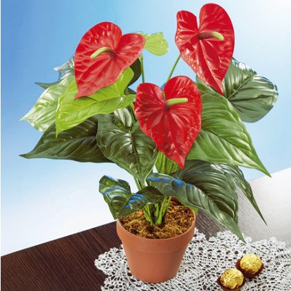 Umělá květina - Anthurium / Flamingo
