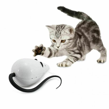 Jezdící myš na hraní pro kočky