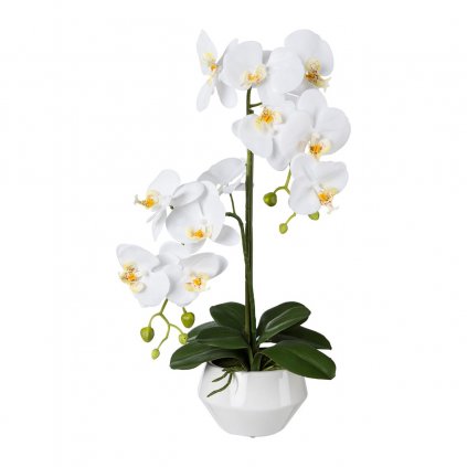 Orchidej v keramickém květináči, 52 cm, bílá