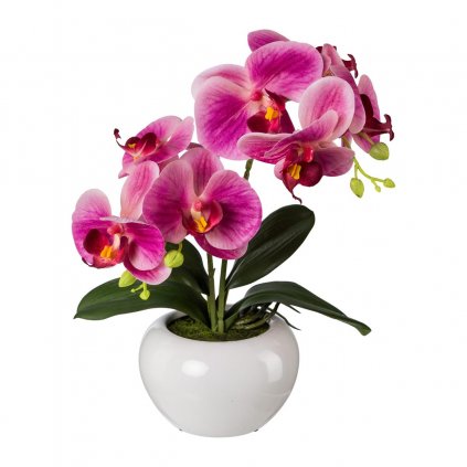 Orchidej v keramickém květináči, 35 cm, fuchsie