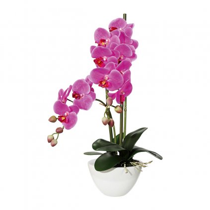 Orchidej x12, 50 cm fialová, v keramické misce 14