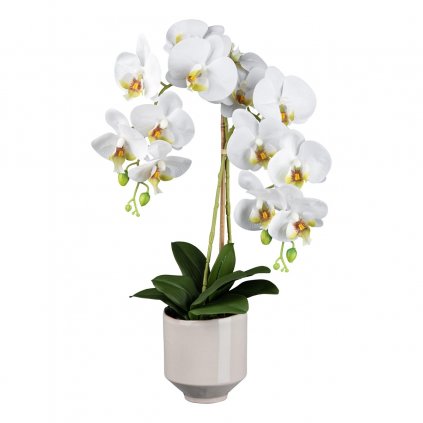 Orchidej v keramickém květináči, 60 cm, bílá