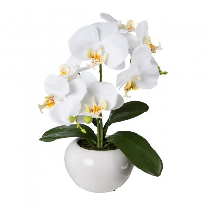 Umělá orchidej v keramickém květináči, 35 cm, bílá