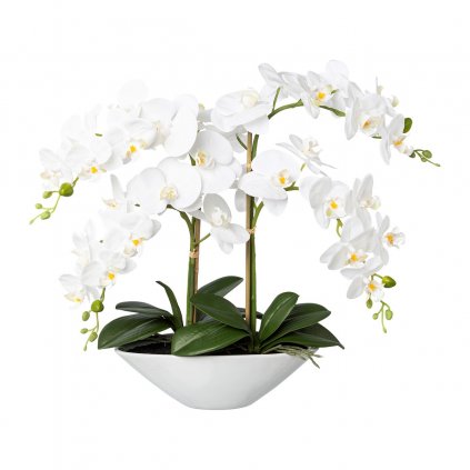 Orchidej v keramické misce, 53 cm