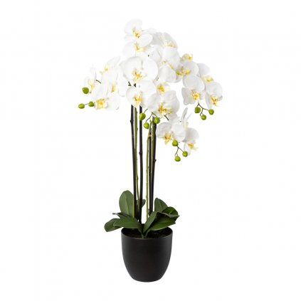 Orchidej x 4 v pryskyřicovém květináči, 83 cm, bílá