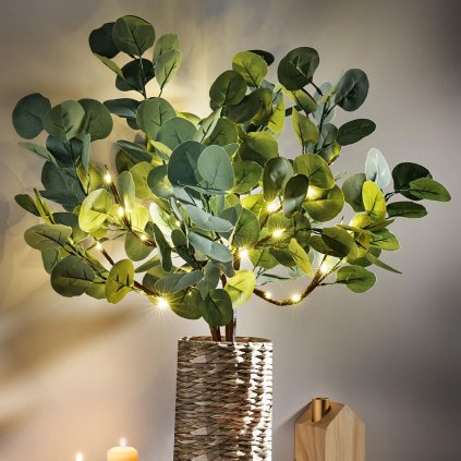 LED dekorace Eukalyptus