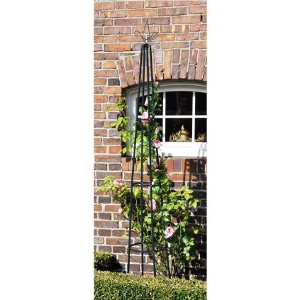 Opora pro popínavé rostliny, pyramida, Ø 35 x 200 cm