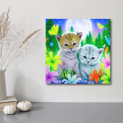 Diamantové malování Sladká koťátka