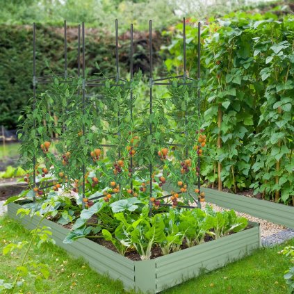 Podpěra rostlin Trellis, 3 ks