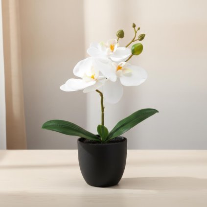 Umělá orchidej Phalaenopsis, bílá