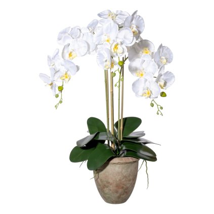 Umělá orchidej Phalaenopsis, bílá