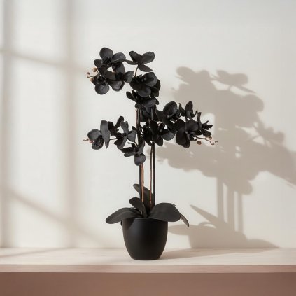 Umělá orchidej Phalaenopsis, černá