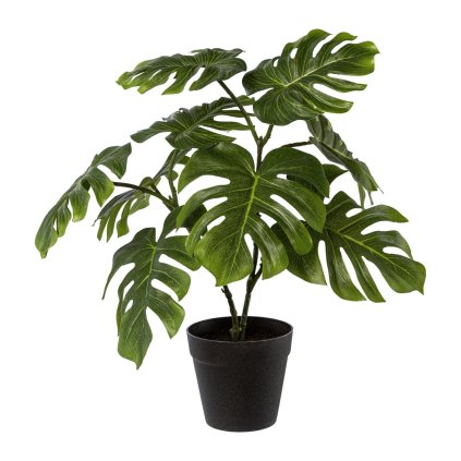 Umělý Philodendron