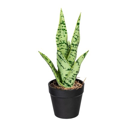 Umělá sansevieria Mini