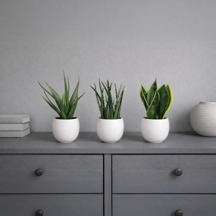Umělé sukulenty, sada 3 ks