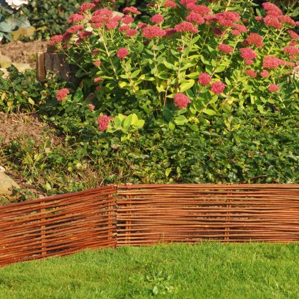 Vrbový plůtek Hiddensee, natur