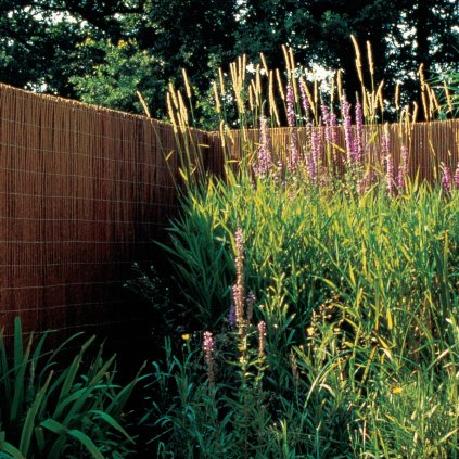 Vrbový plot PROVENCE, 150 x 300 cm, přírodní