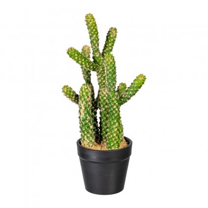 Umělý kaktus Euphorbia, 25 cm