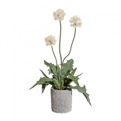 Umělá květina Bodlák bílý, 55 cm