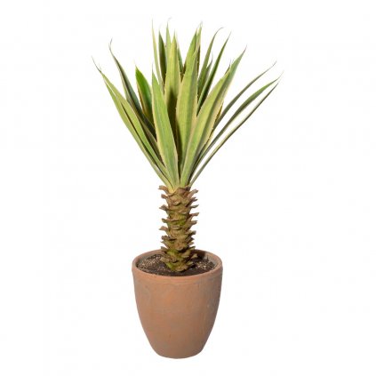 Umělá rostlina Yucca, 75 cm
