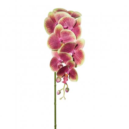 Umělá orchidej 3D stvol, 87 cm