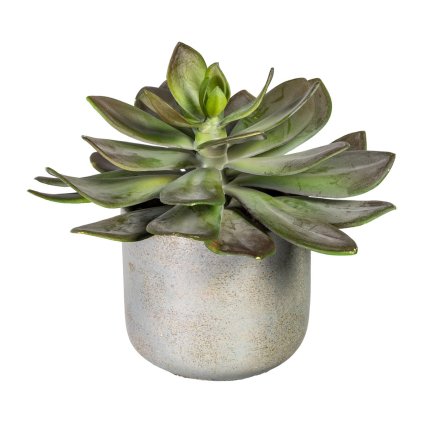 Umělá rostlina Echeveria XL