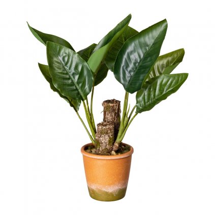 Umělá rostlina Filodendron, 45 cm