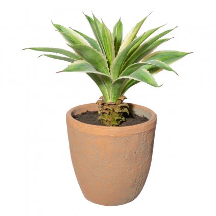 Umělá rostlina Agáve, 35 cm