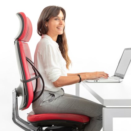 2842 prodysna prenosna zadova operka zad backonfy