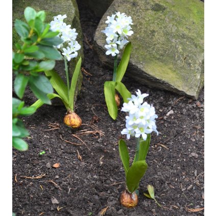 Umělá květina Hyacint s cibulí, bílý