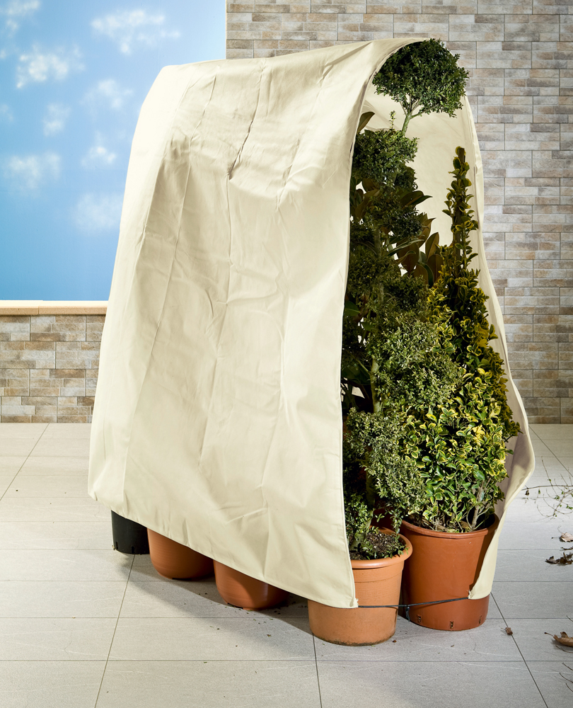 E-shop Wenko ochrana rostlin, béžová ( rozměry: 200 x 240 cm )