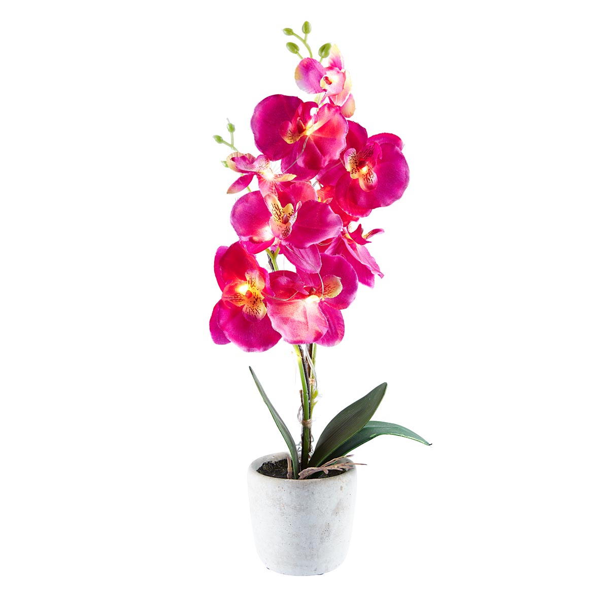 Die moderne Hausfrau LED Umělá orchidej