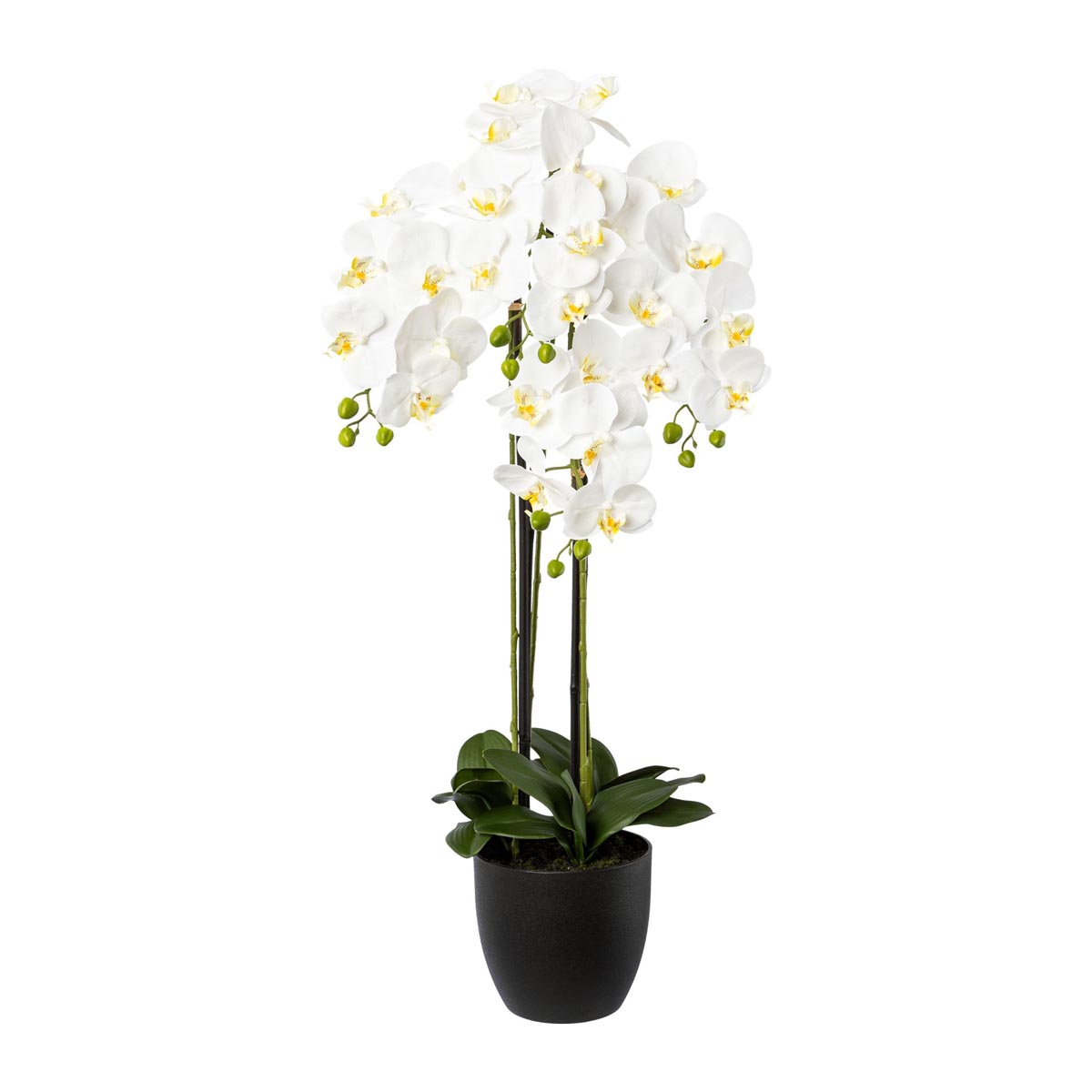 E-shop Gasper Orchidej x 4 v resinovém květináči, 99 cm, bílá