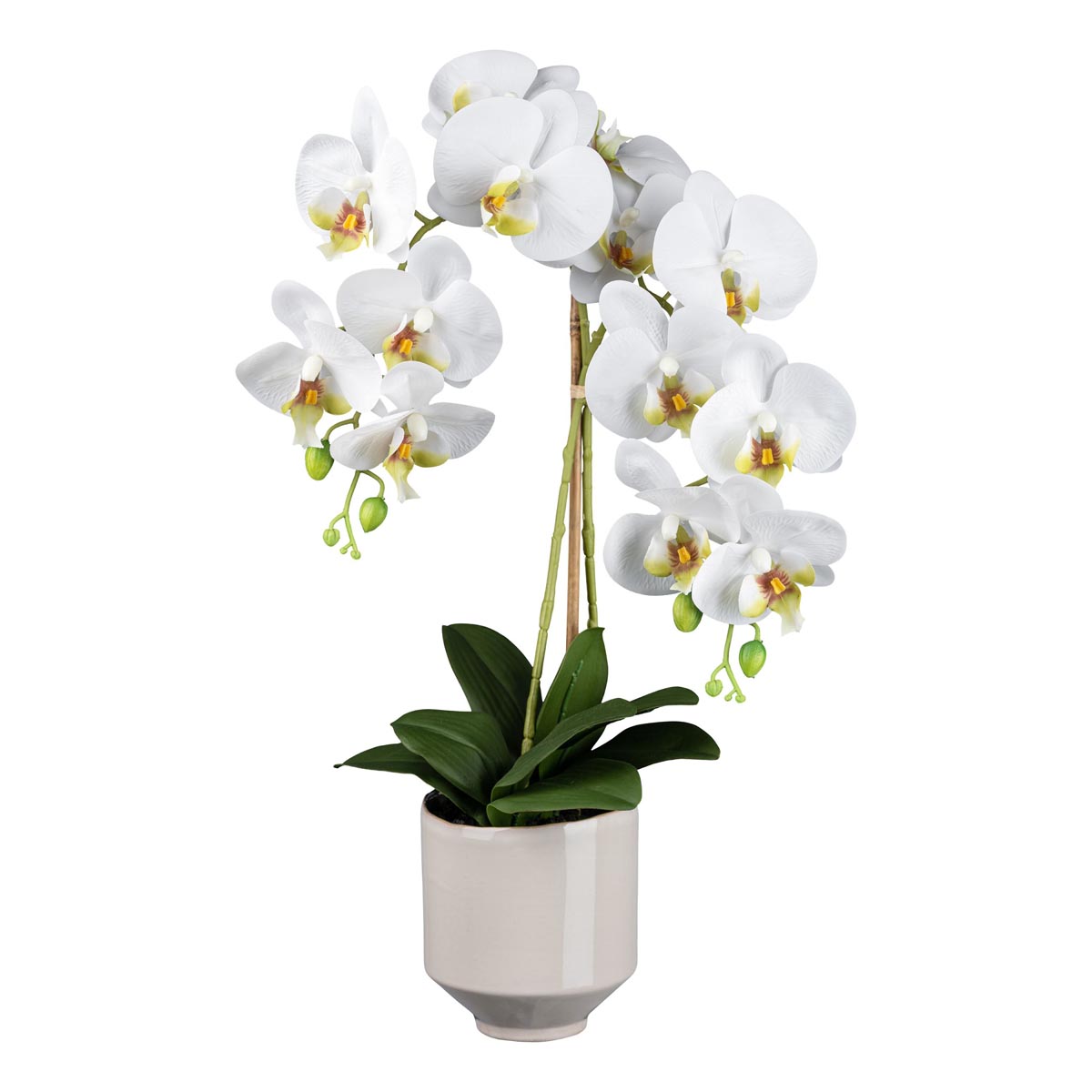 E-shop Gasper Orchidej v keramickém květináči, 60 cm, bílá