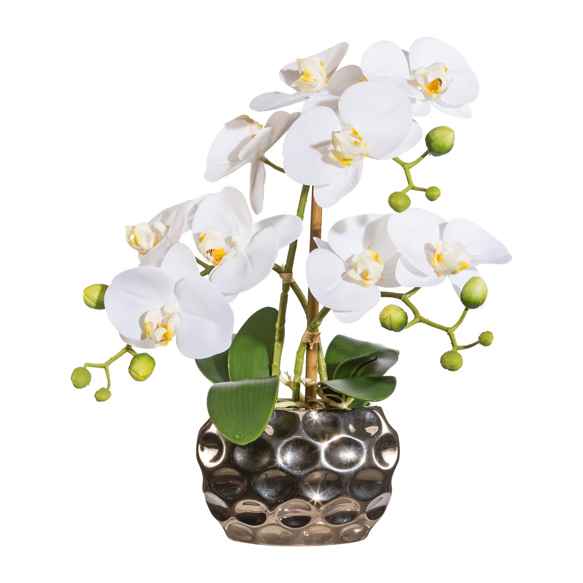 E-shop Gasper Orchidej x3, cca 30cm bílá, v oválné váze