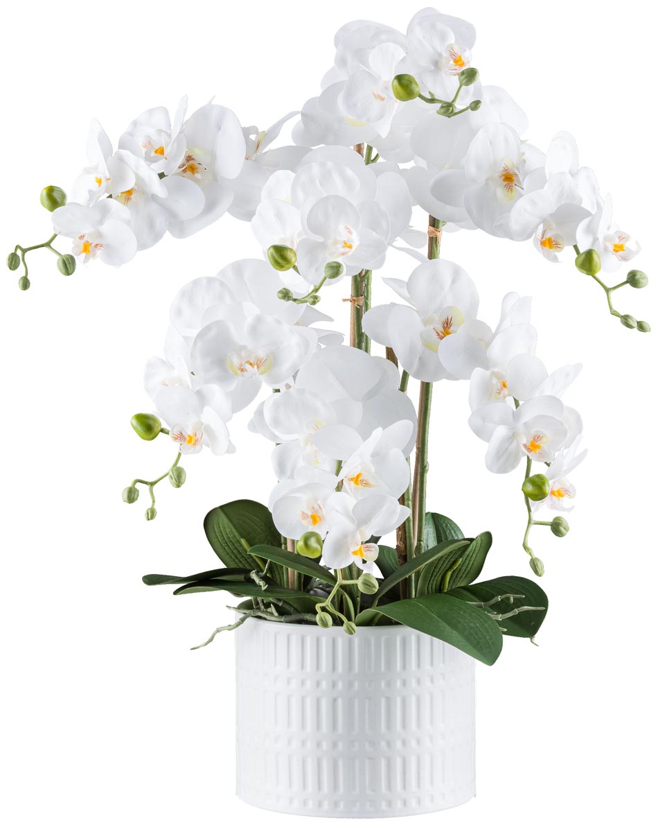 E-shop Gasper Umělá orchidej v keramickém květináči, 60 cm, bílá