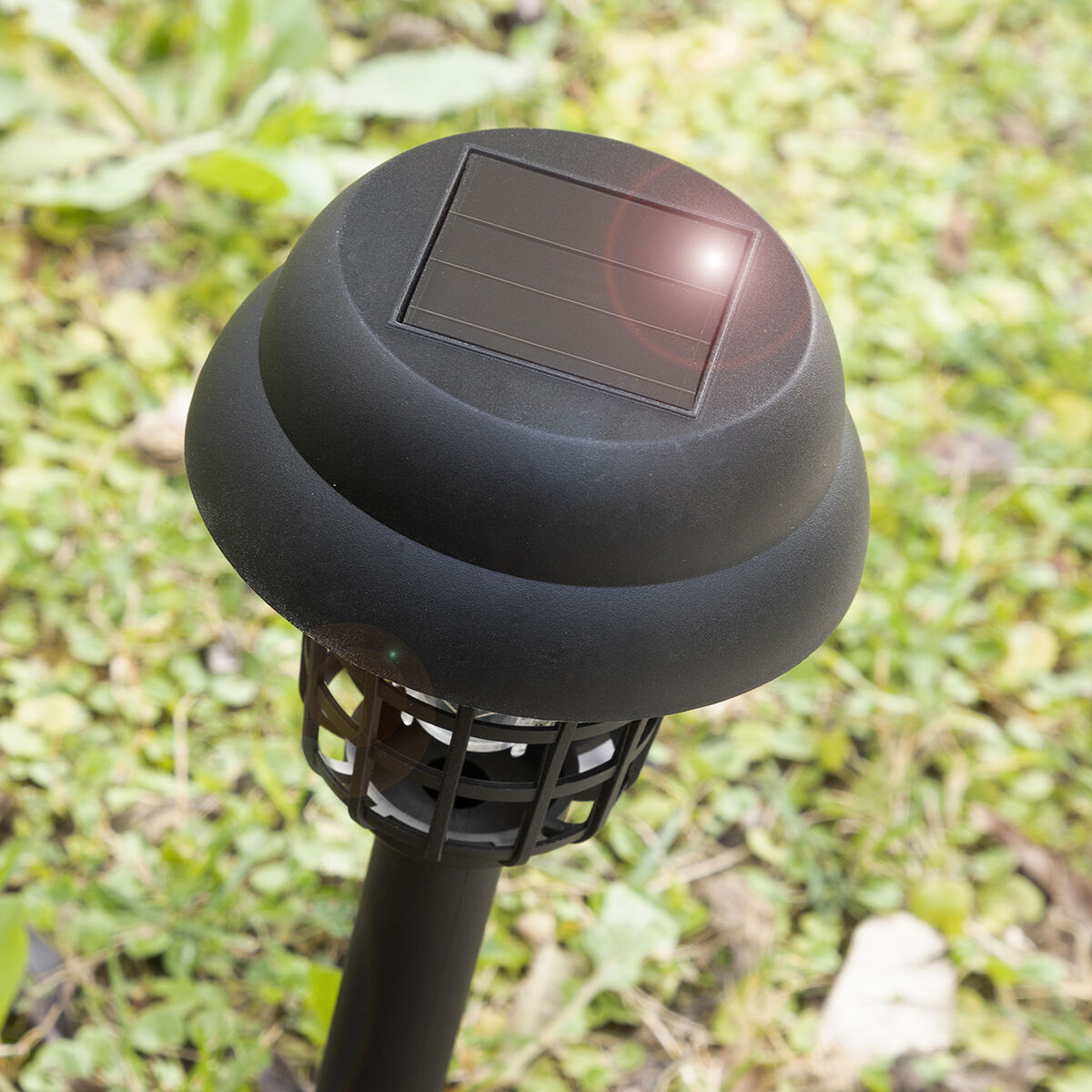 InnovaGoods Solární lapač hmyzu Garlam