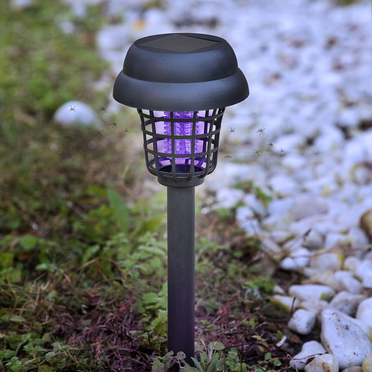 InnovaGoods Solární lapač hmyzu Garlam