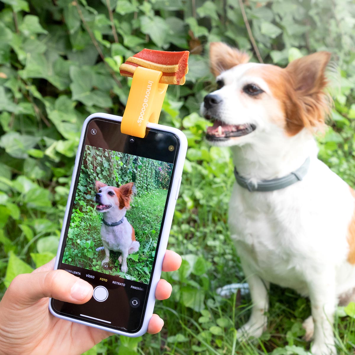 InnovaGoods Selfie klip na pamlsek Pefie