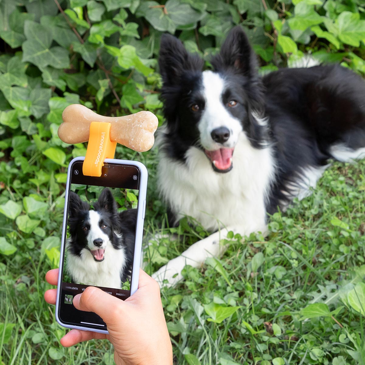 InnovaGoods Selfie klip na pamlsek Pefie