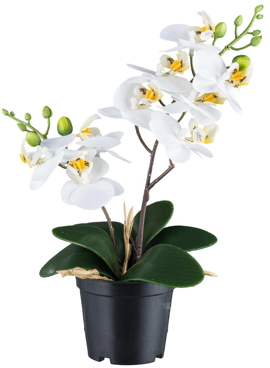 Fotografie produktu: Gasper Umělá orchidej 28cm, bílá