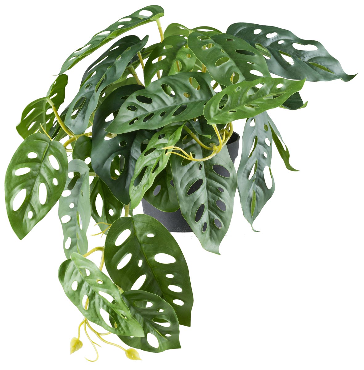 Gasper Umělá Monstera adansonii