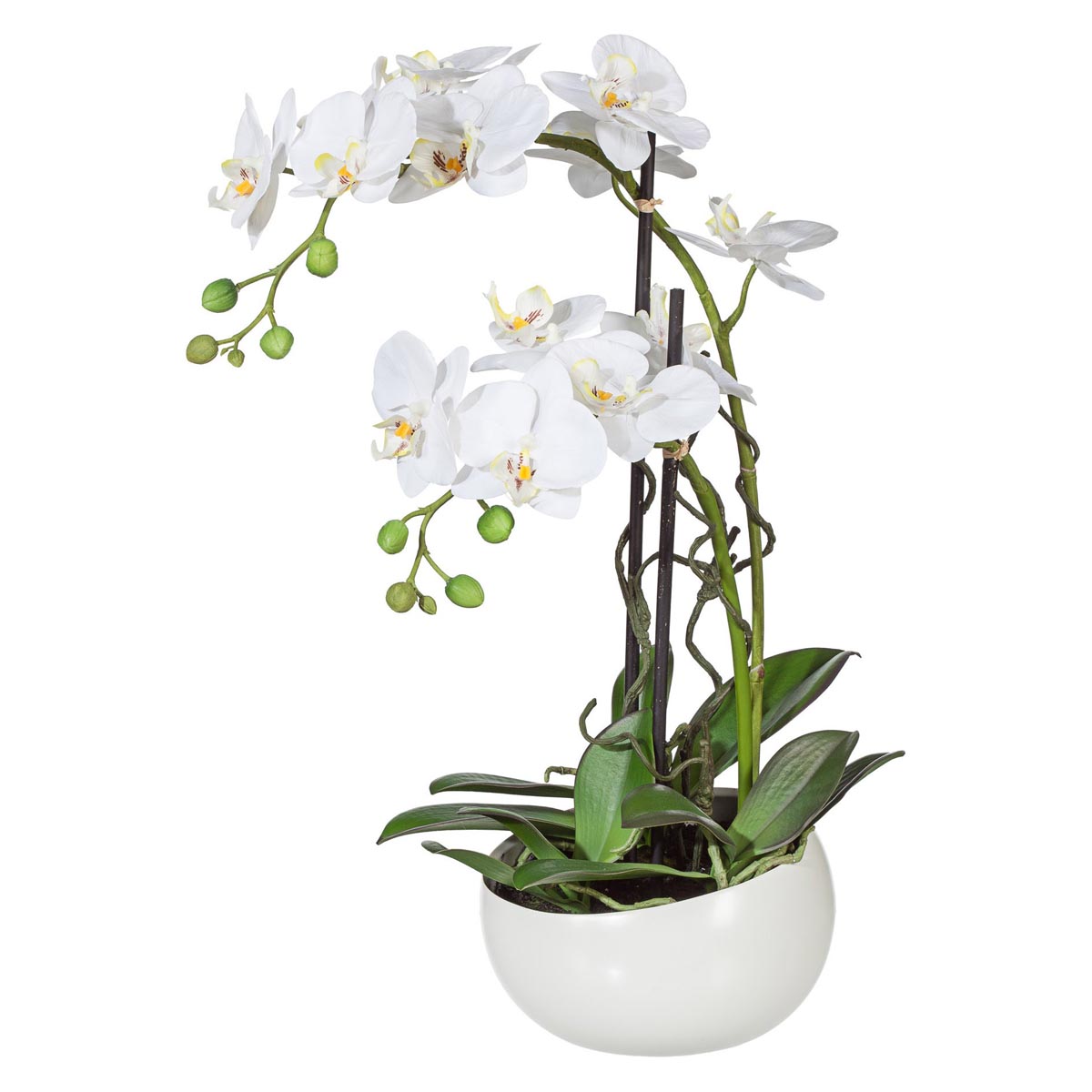 Gasper Umělá orchidej Phalaenopsis, bílá, 55 cm