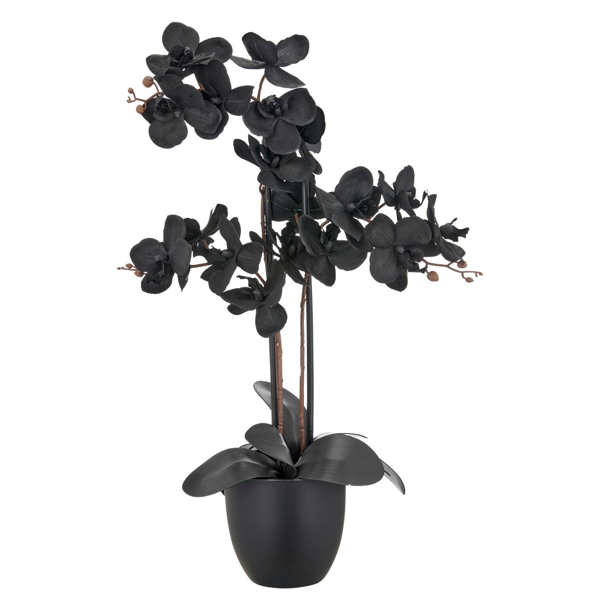 Gasper Umělá orchidej Phalaenopsis, černá
