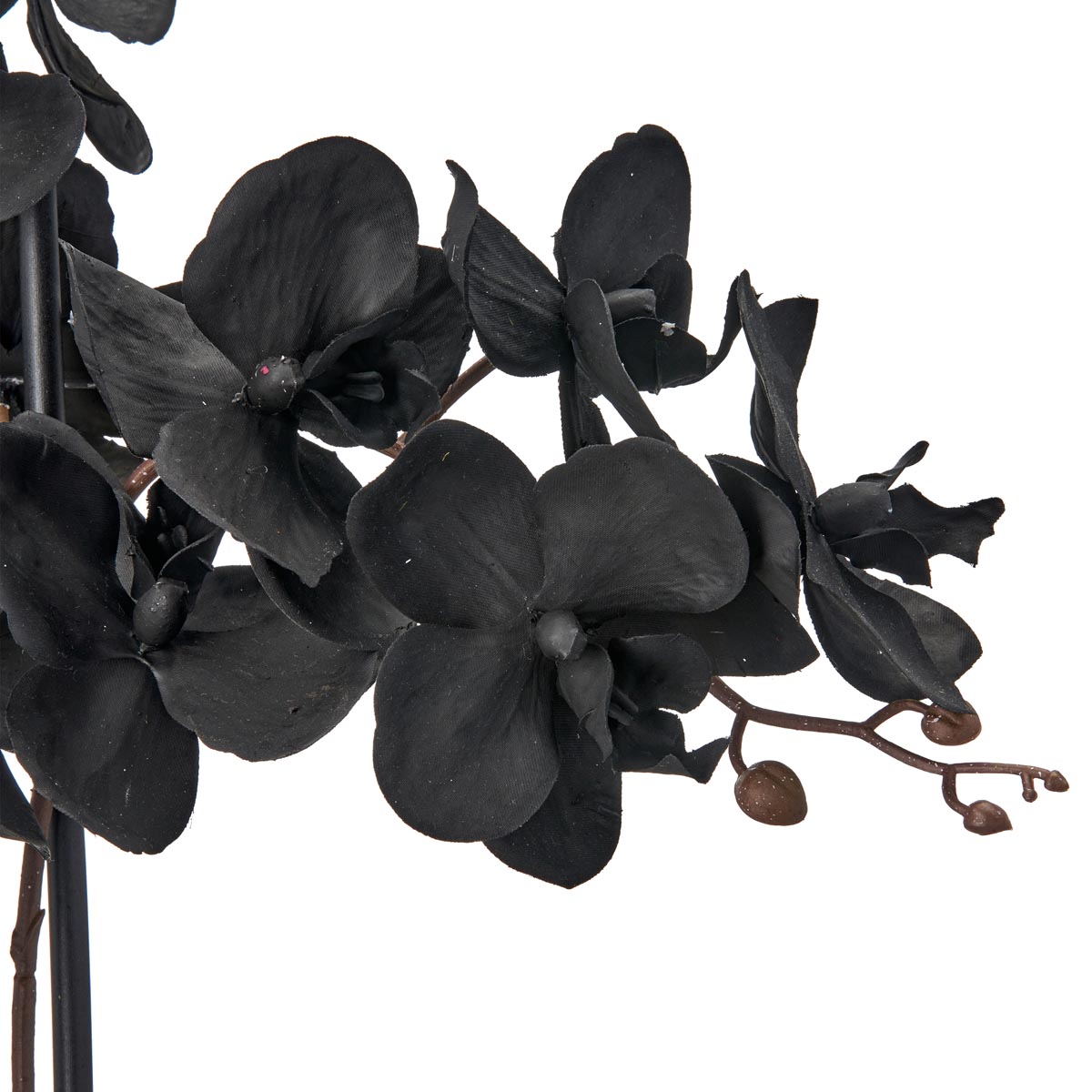Gasper Umělá orchidej Phalaenopsis, černá